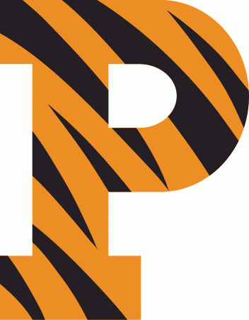 Princeton Tigers 1984-Pres Primary Logo DIY iron on transfer (heat transfer)